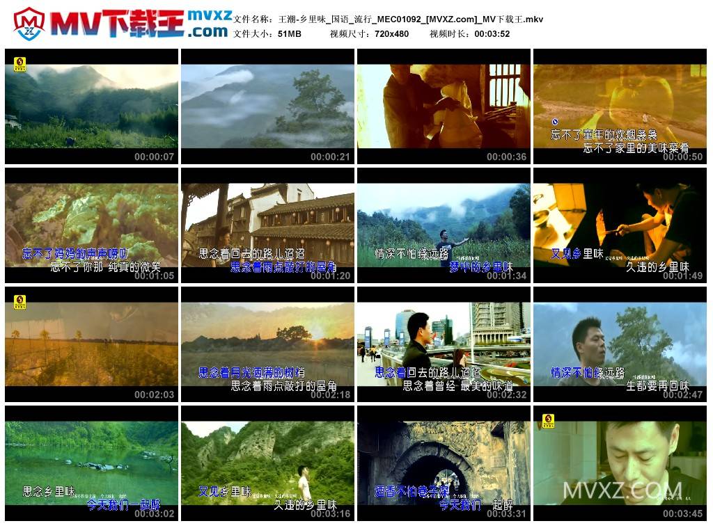 王潮-乡里味_国语_流行_MEC01092